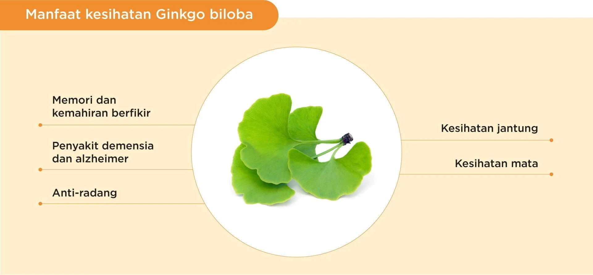 Benefits of Ginkgo Biloba