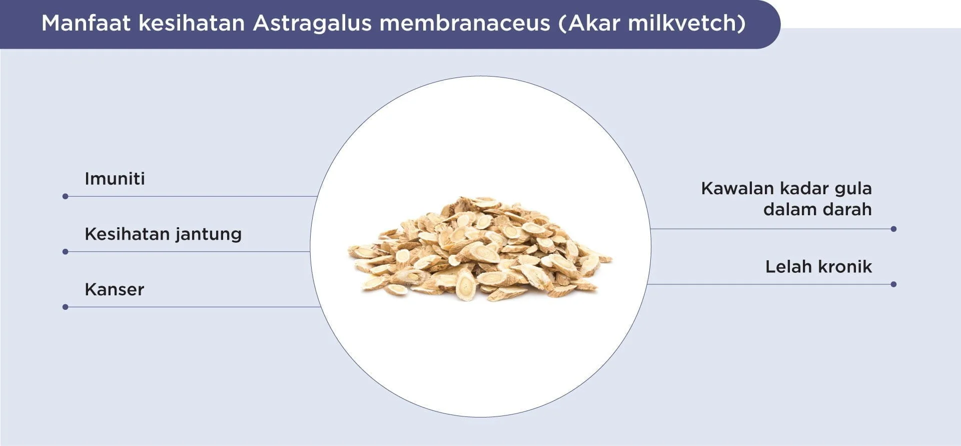 Benefits of Milkvetch root