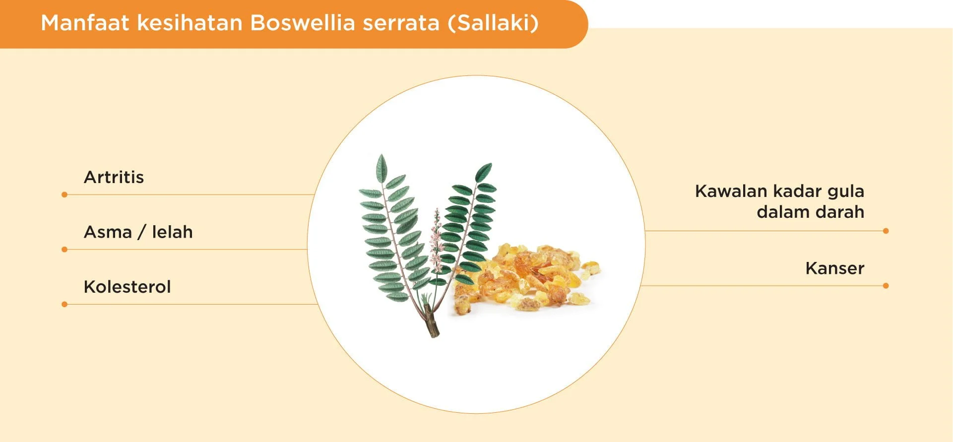 Benefits of Sallaki