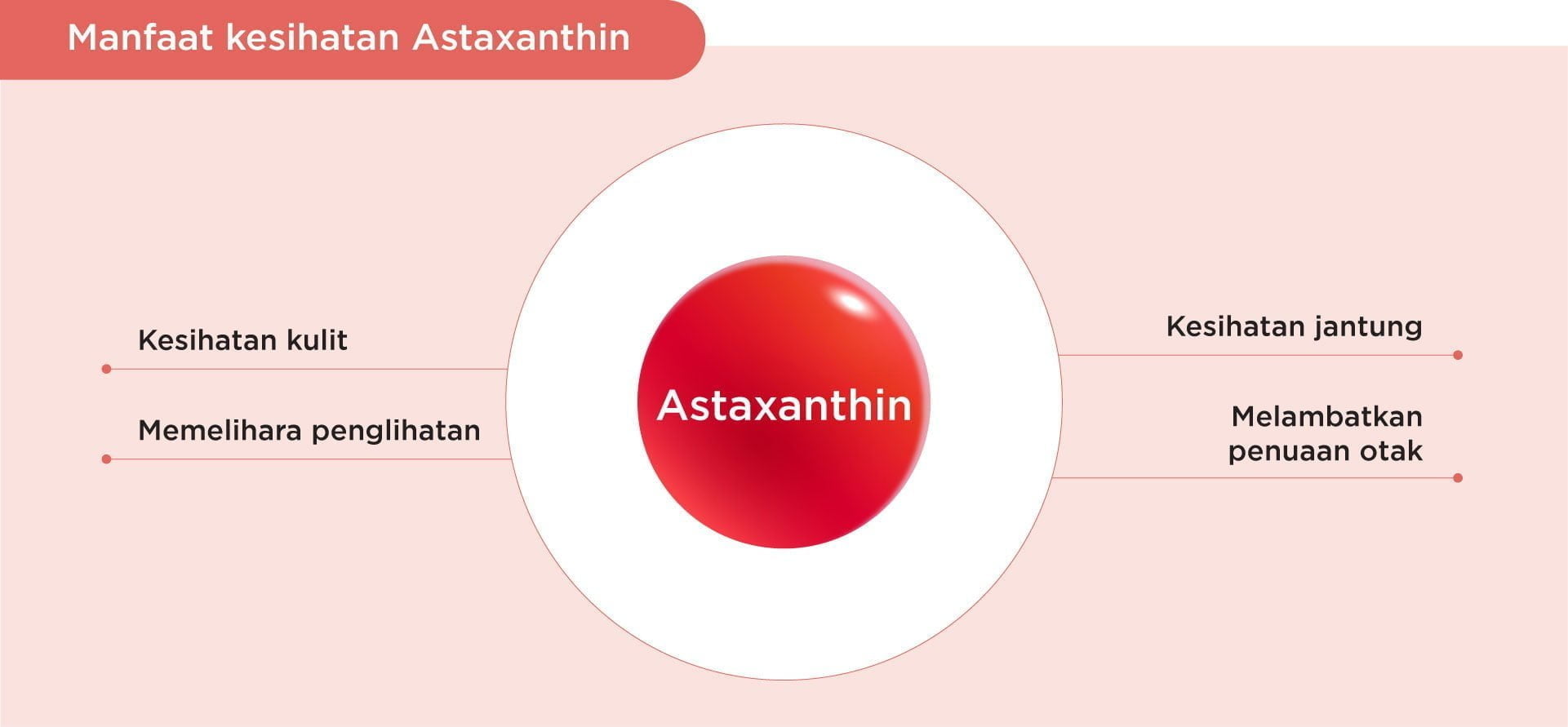Benefits of Astaxanthin