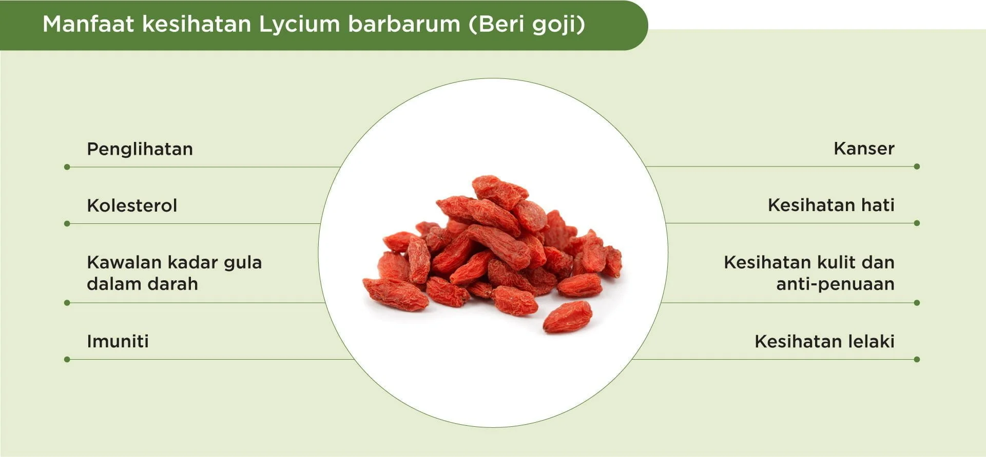 Benefits of Goji berry
