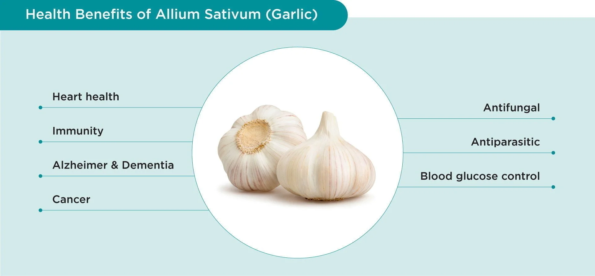 Benefits of garlic