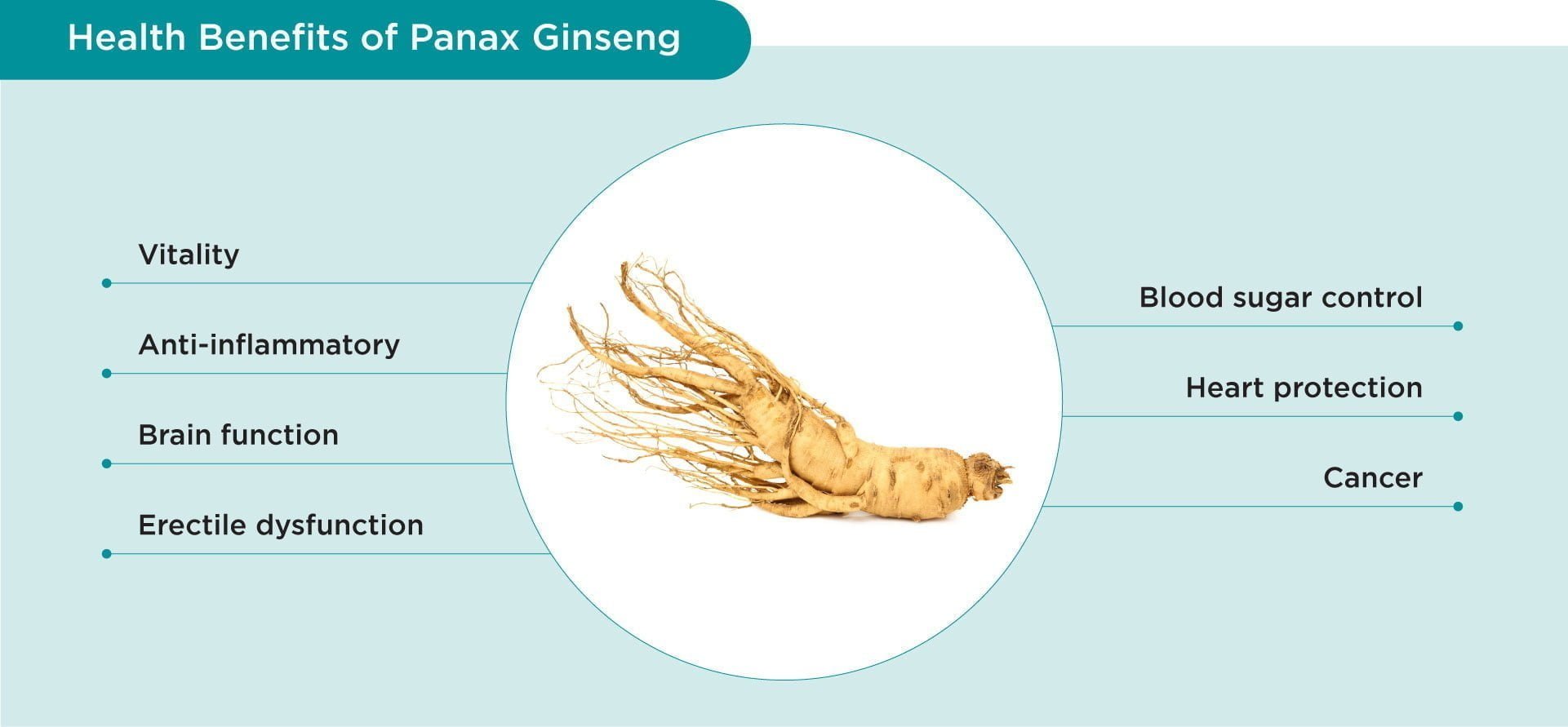 Benefits of Panax ginseng