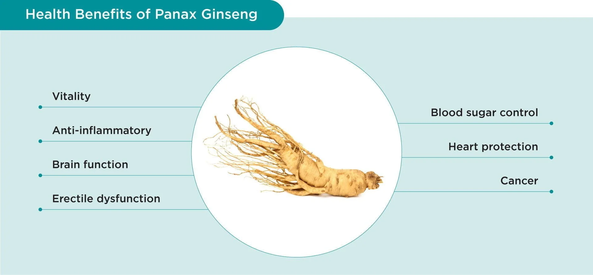 Panax Ginseng Ginseng YesHealth Supplement Mall