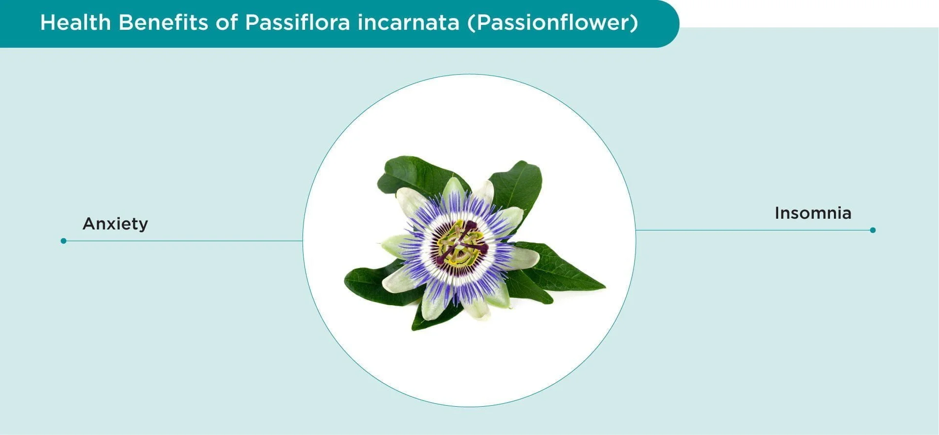 Benefits of Passionflower