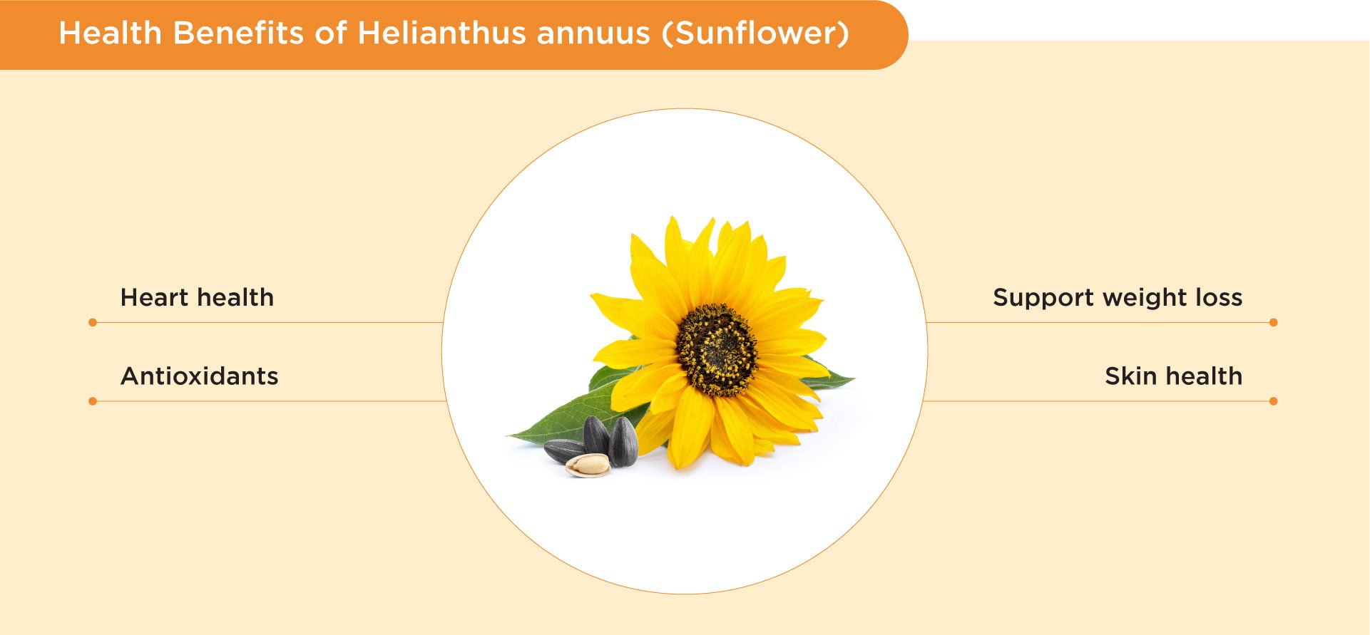 Benefits of sunflower