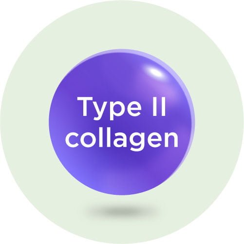 Type II collagen