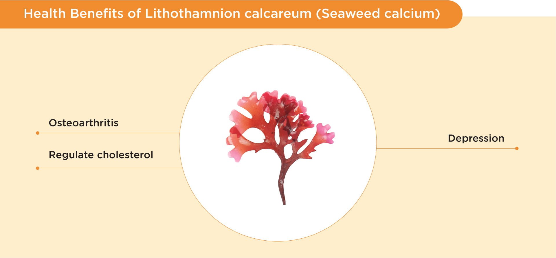 Benefits of seaweed calcium