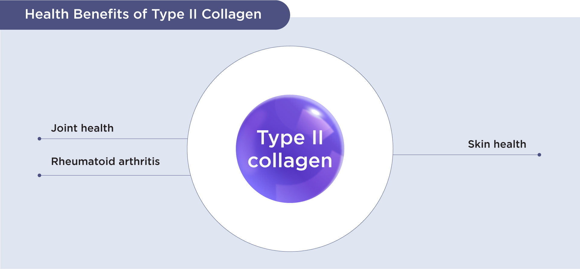 Benefits of Type II Collagen