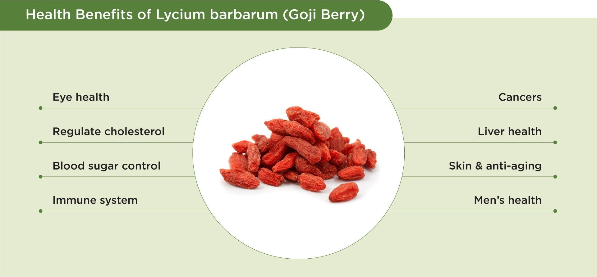 Benefits of Goji berry