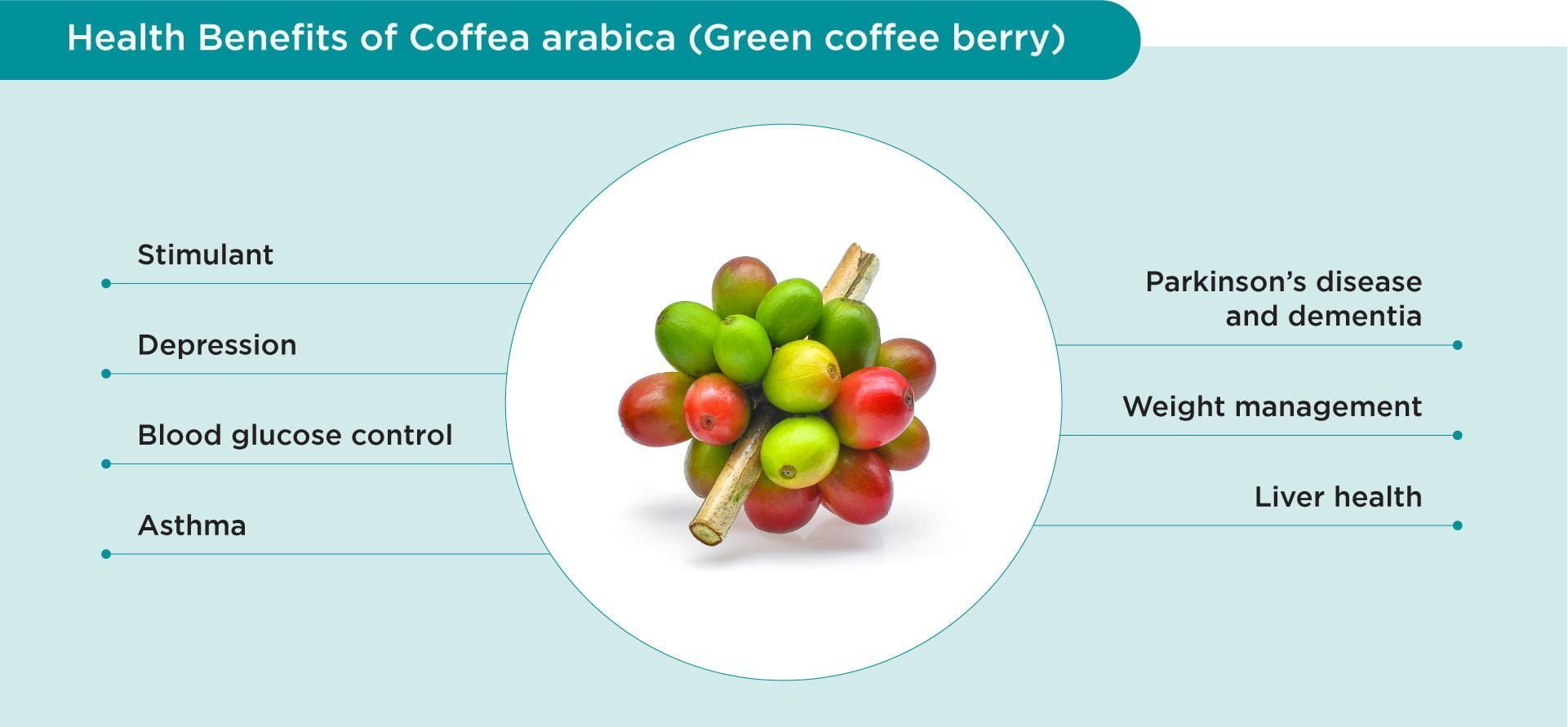 Benefits of green coffee berry