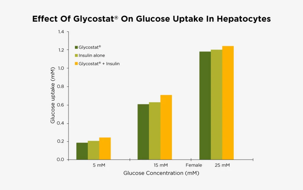 Effect on Glycostat on glucose uptake in hepatocytes