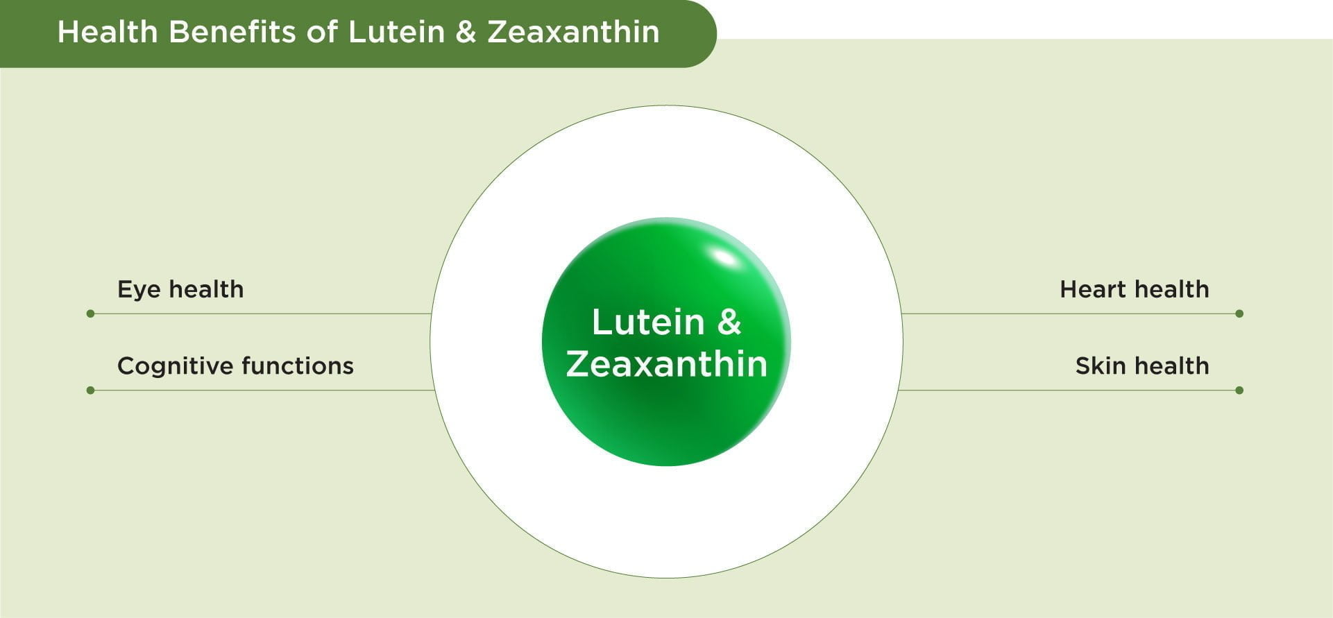 Benfits of Lutein & Zeaxanthin